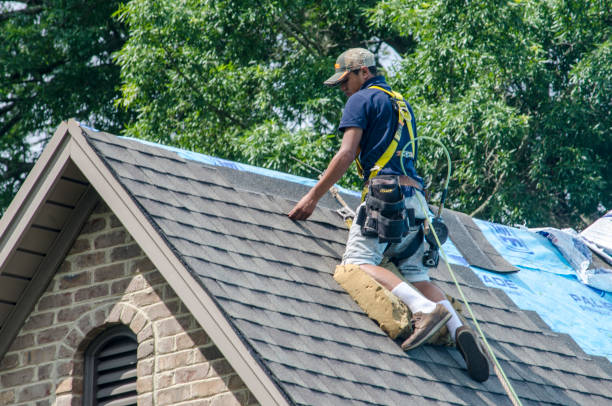 Best Gutter Installation and Roofing  in Katy, TX